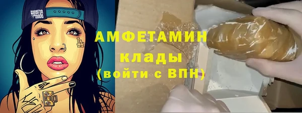 молекула духа Арсеньев