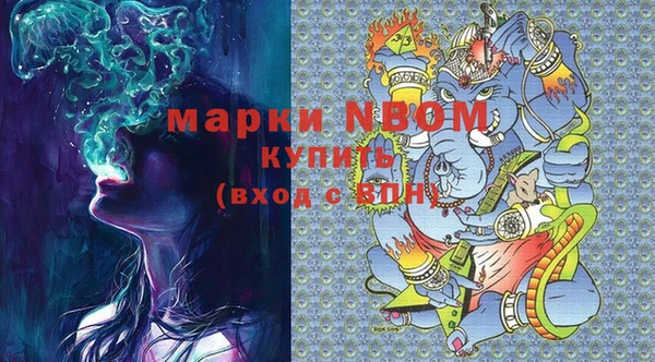 молекула духа Арсеньев