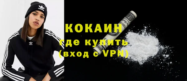 молекула духа Арсеньев