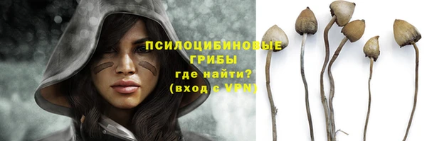 Альфа ПВП Балабаново
