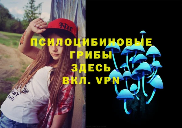 ешки Аркадак