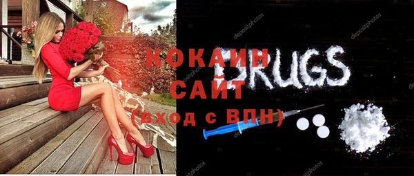 молекула духа Арсеньев