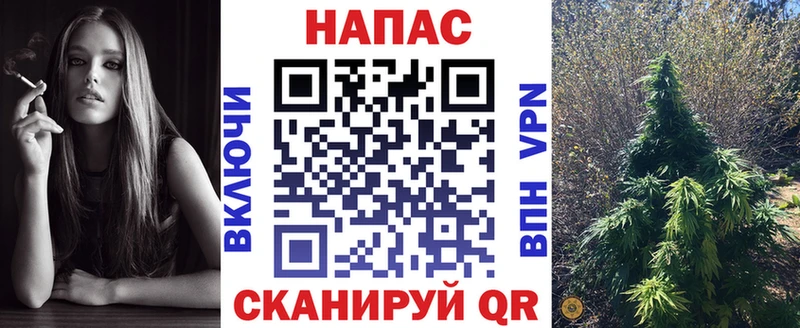 Канабис сатива  Голицыно 